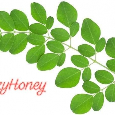 10 Khasiat Moringa untuk Kesihatan